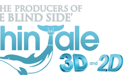 in 3D and 2D