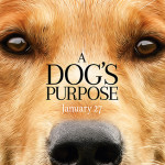 18-dogs